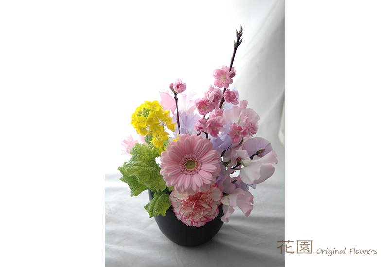 アレンジメントフラワー 姫ちゃん ARR0095