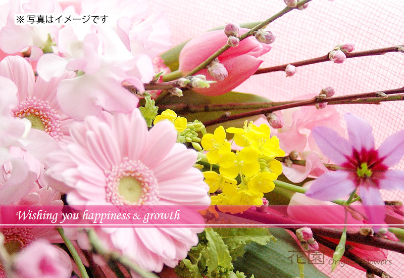 ひな祭り フローリストお任せ FLO0002_GIRL